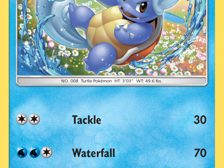 Wartortle (24 181) [Sun & Moon: Team Up] Online Hot Sale