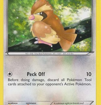 Pidgey (11 30) [XY: Trainer Kit 1 - Wigglytuff] For Discount